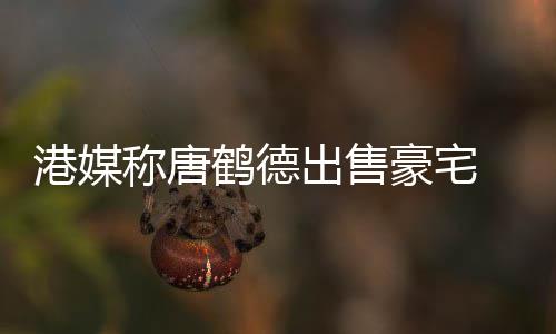 鹤德豪宅货1港媒升值0万2年称唐出售 持超5
