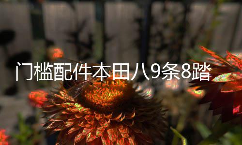 门槛配件本田八9条8踏板0代改装十代思域思域内饰车贴汽车迎宾九1